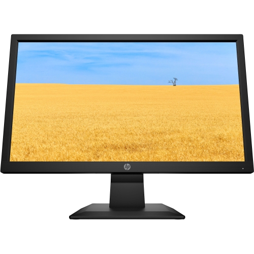 Màn hình máy tính HP V20 1H849AA 